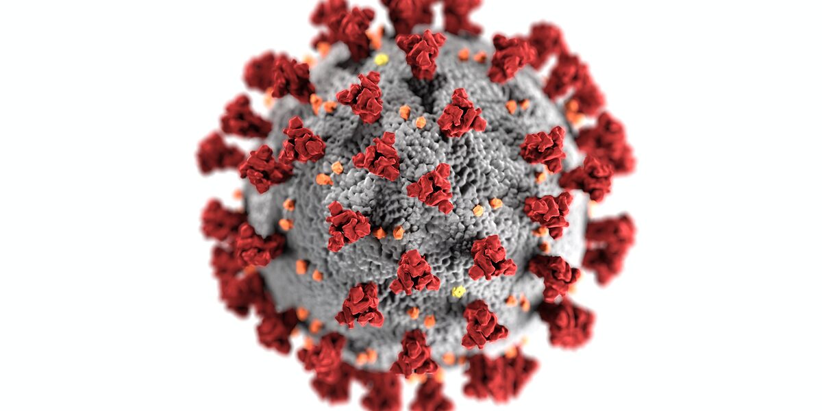 Virus