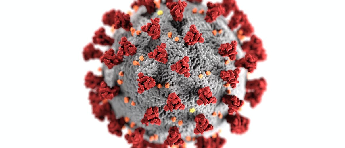 Virus