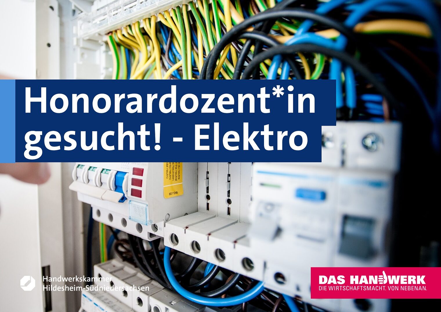 elektro_Honorardozent