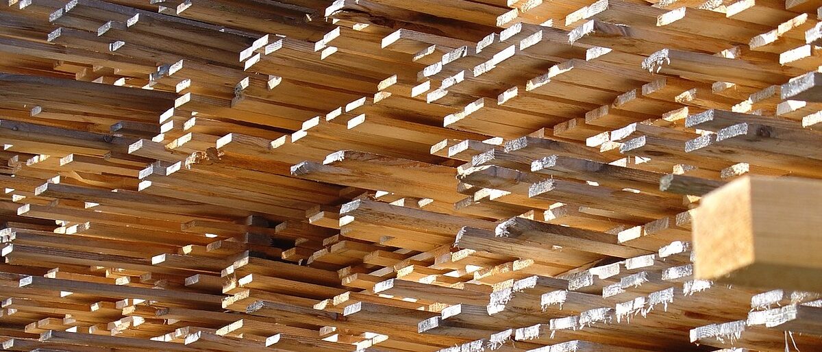 Holz
